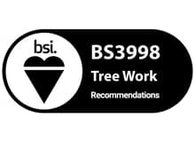 Tree Work Logo