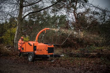 Professional arborist using tree surgery equipment